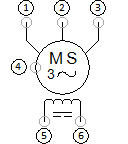 Synchronmotor